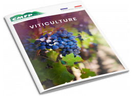 Viticulture