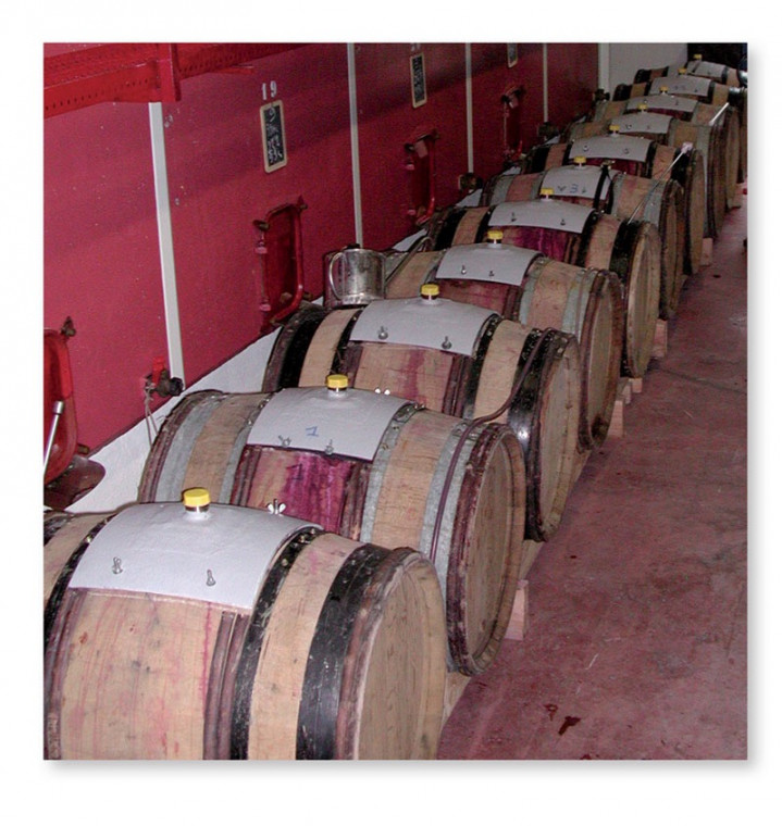 Trappons de vinification