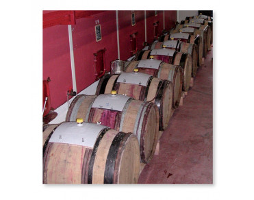 Trappons de vinification